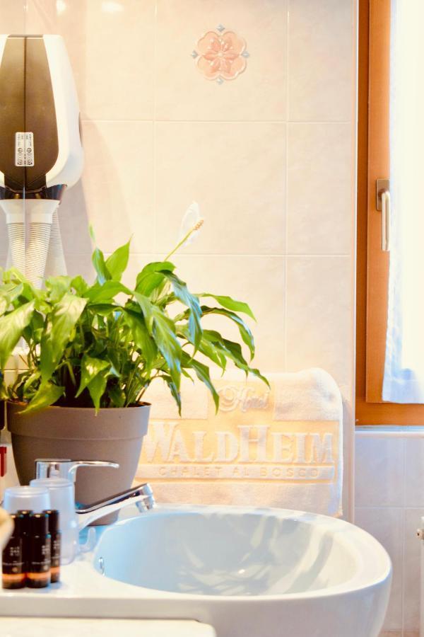 Hotel Waldheim Sarnonico Екстериор снимка