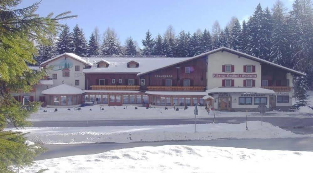 Hotel Waldheim Sarnonico Екстериор снимка