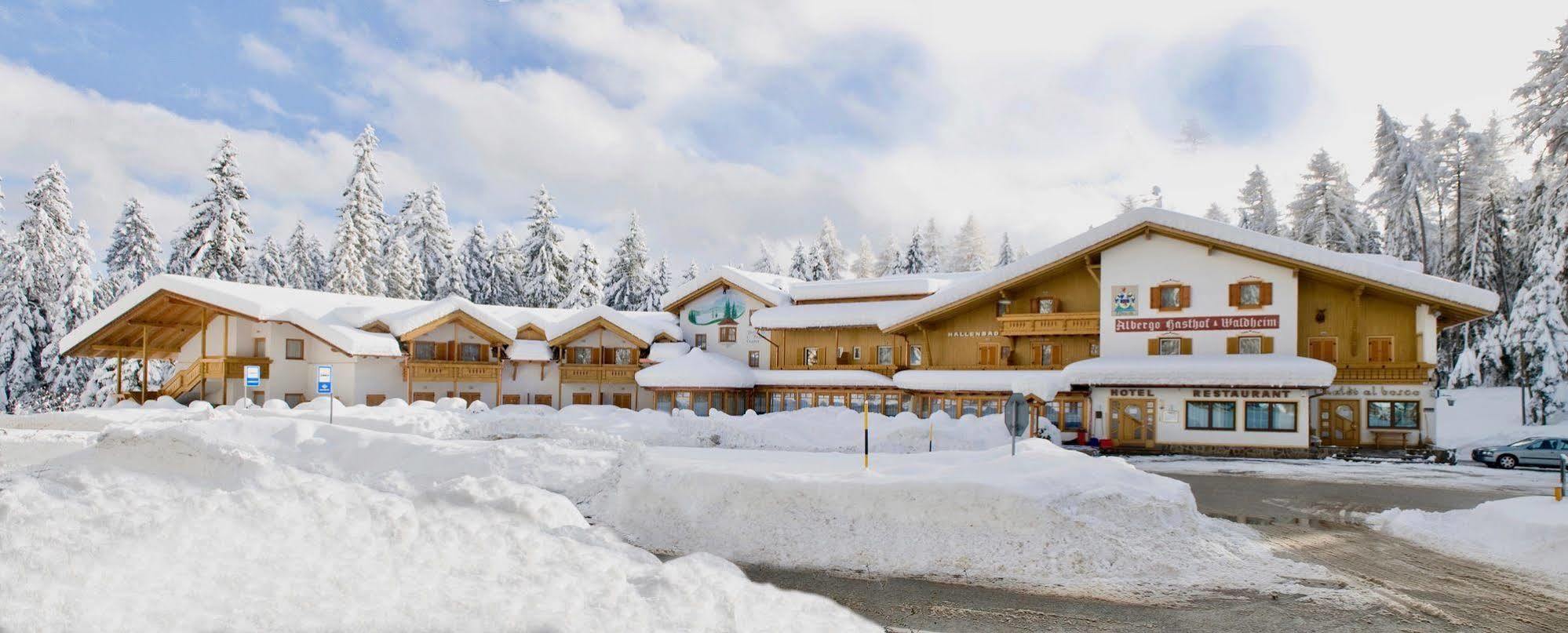 Hotel Waldheim Sarnonico Екстериор снимка