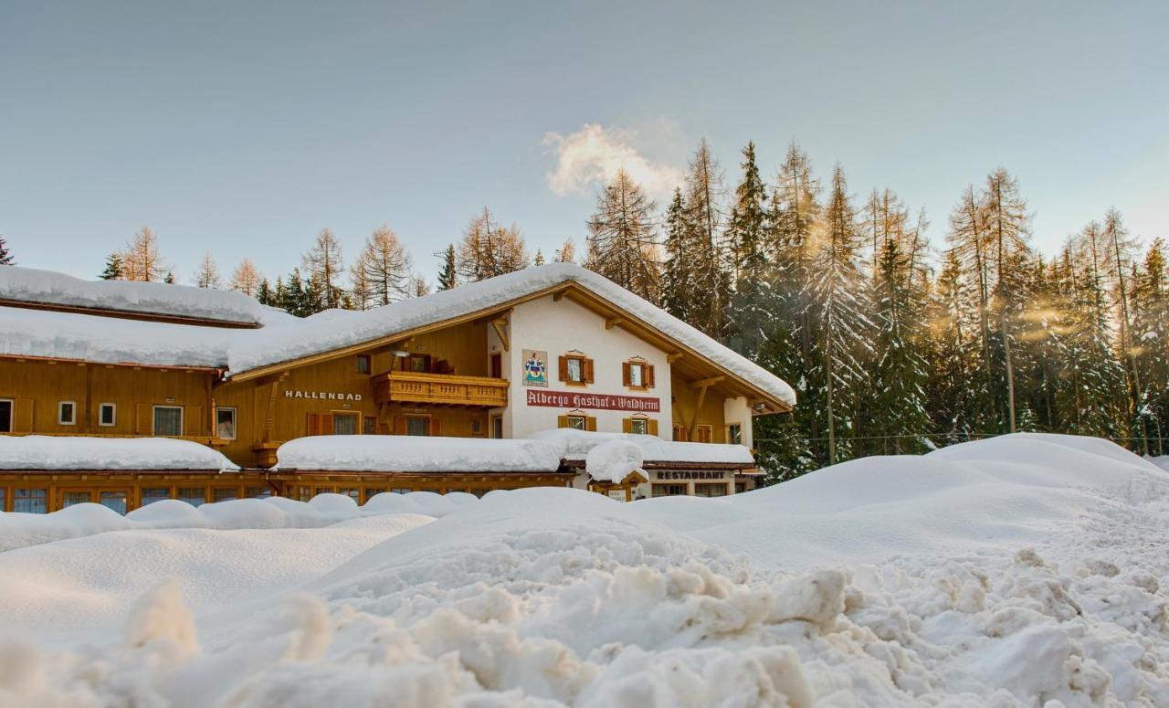 Hotel Waldheim Sarnonico Екстериор снимка